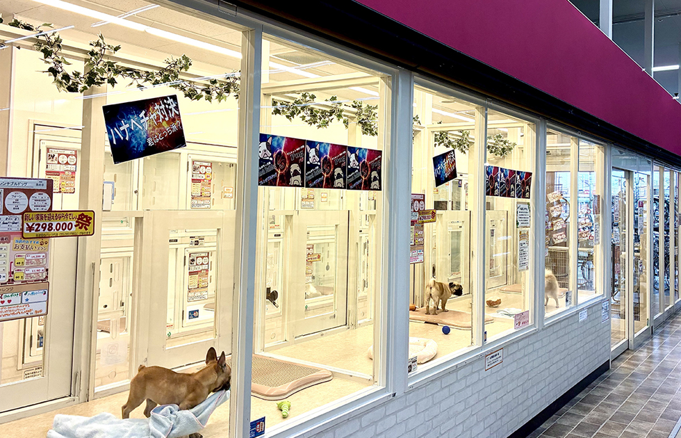 コーナンアクロスプラザ稲沢店