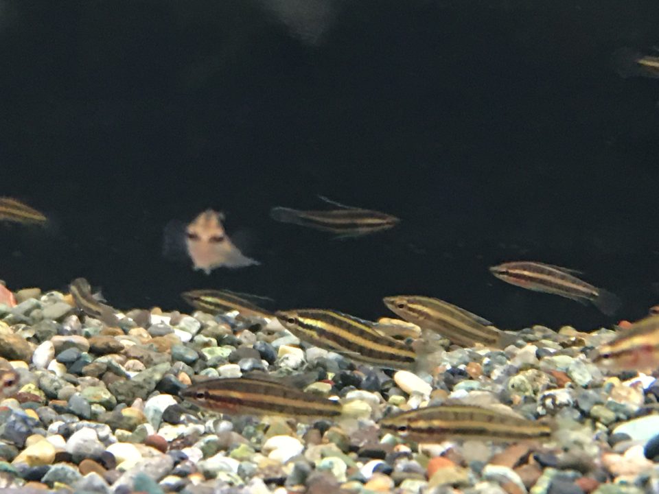 12/3ジャカルタ便⑥