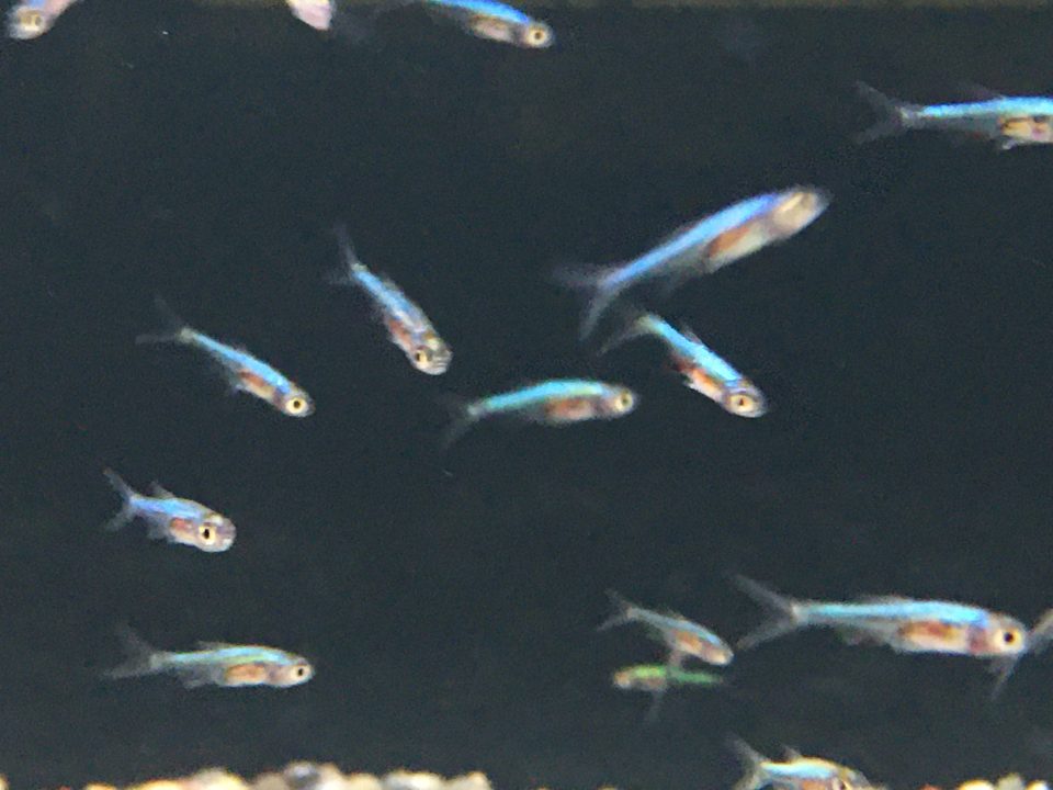 12/3ジャカルタ便⑤