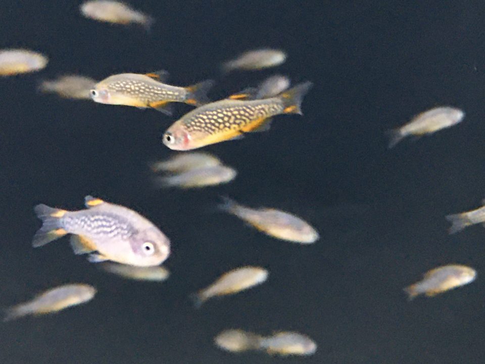 12/3ジャカルタ便④