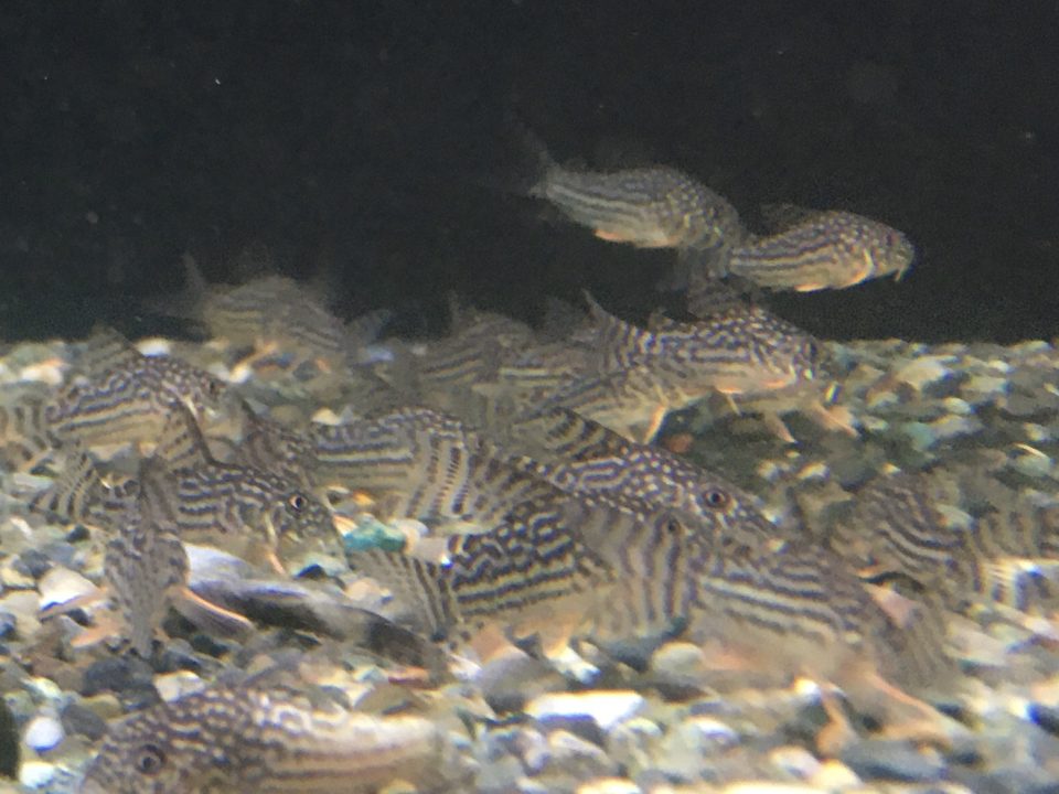 12/3ジャカルタ便②